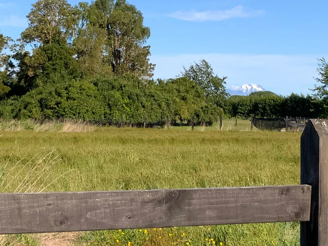 ¡Oportunidad de compra! Hermosa parcela en venta en Frutillar — foto 5