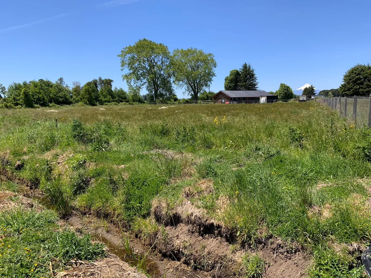 Parcela 5.000 m² con Servicios Operativos en Frutillar — foto 1