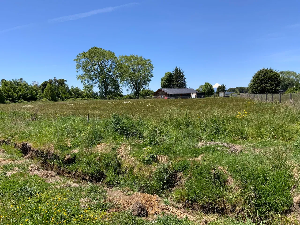 Parcela 5.000 m² con Servicios Operativos en Frutillar — foto 2