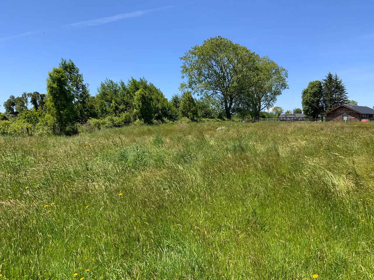 Parcela 5.000 m² con Servicios Operativos en Frutillar — foto 3
