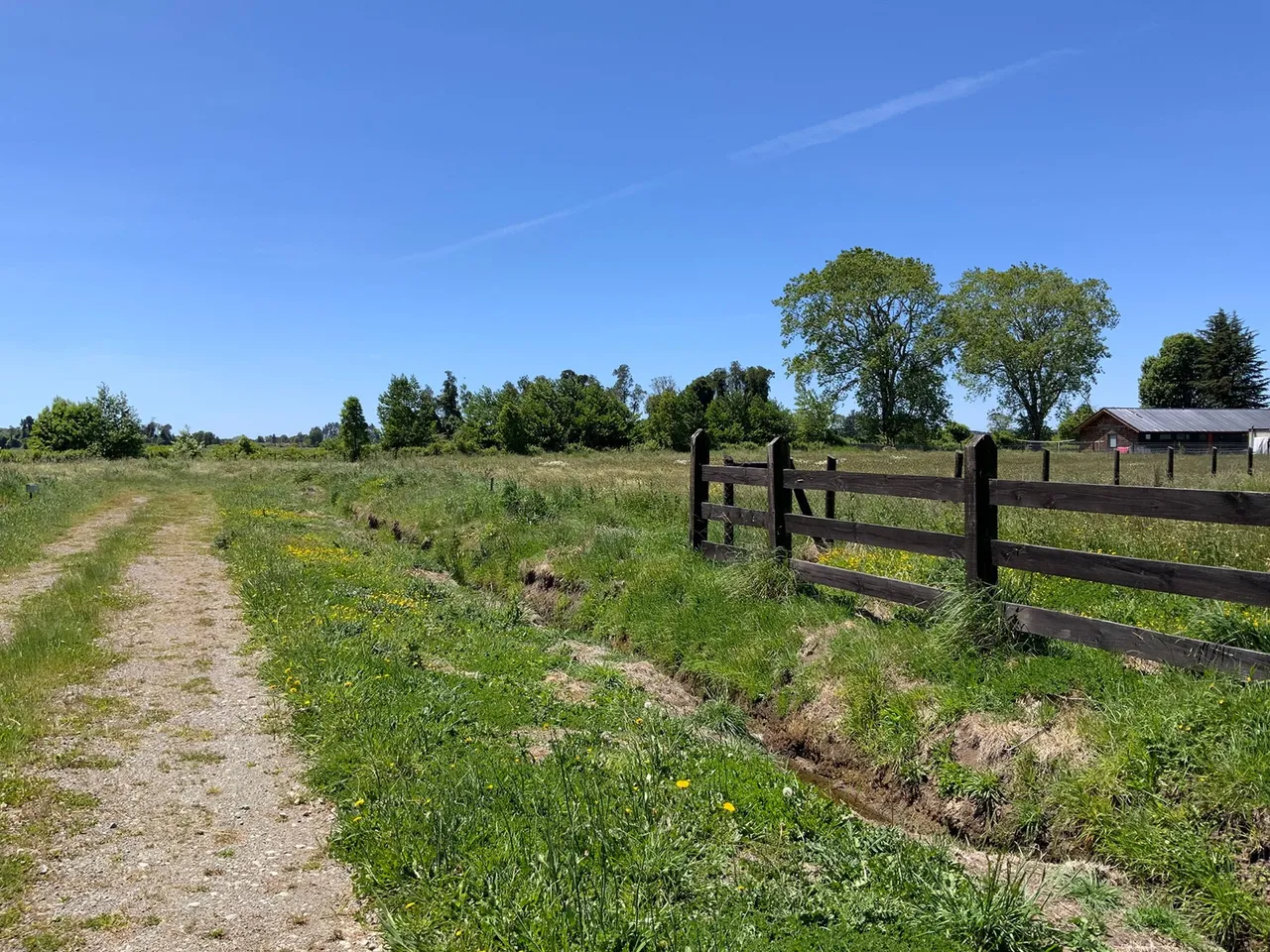 Parcela 5.000 m² con Servicios Operativos en Frutillar — foto 7