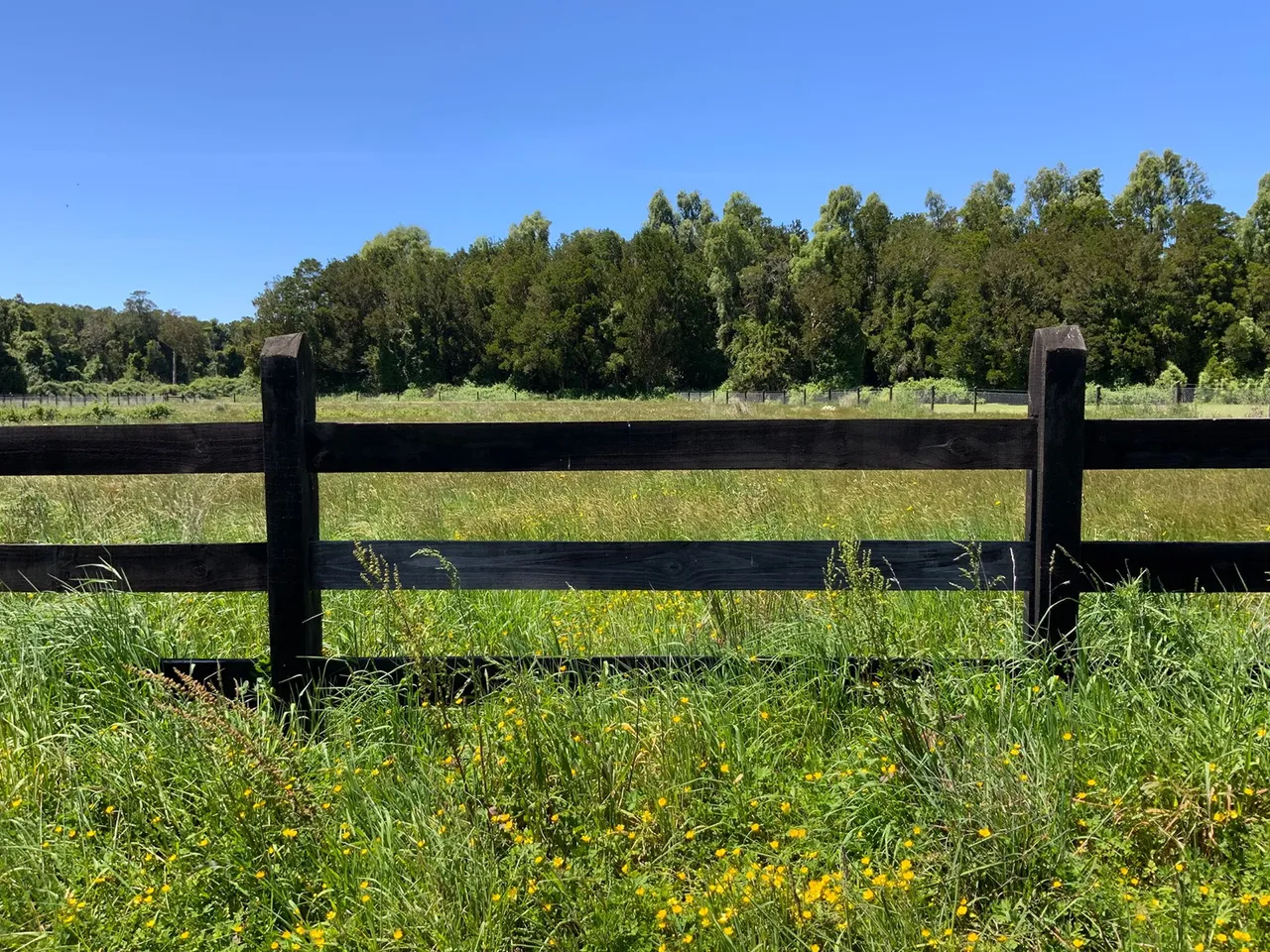 Se Vende Linda Parcela con Vista a Bosque en Frutillar — foto 3