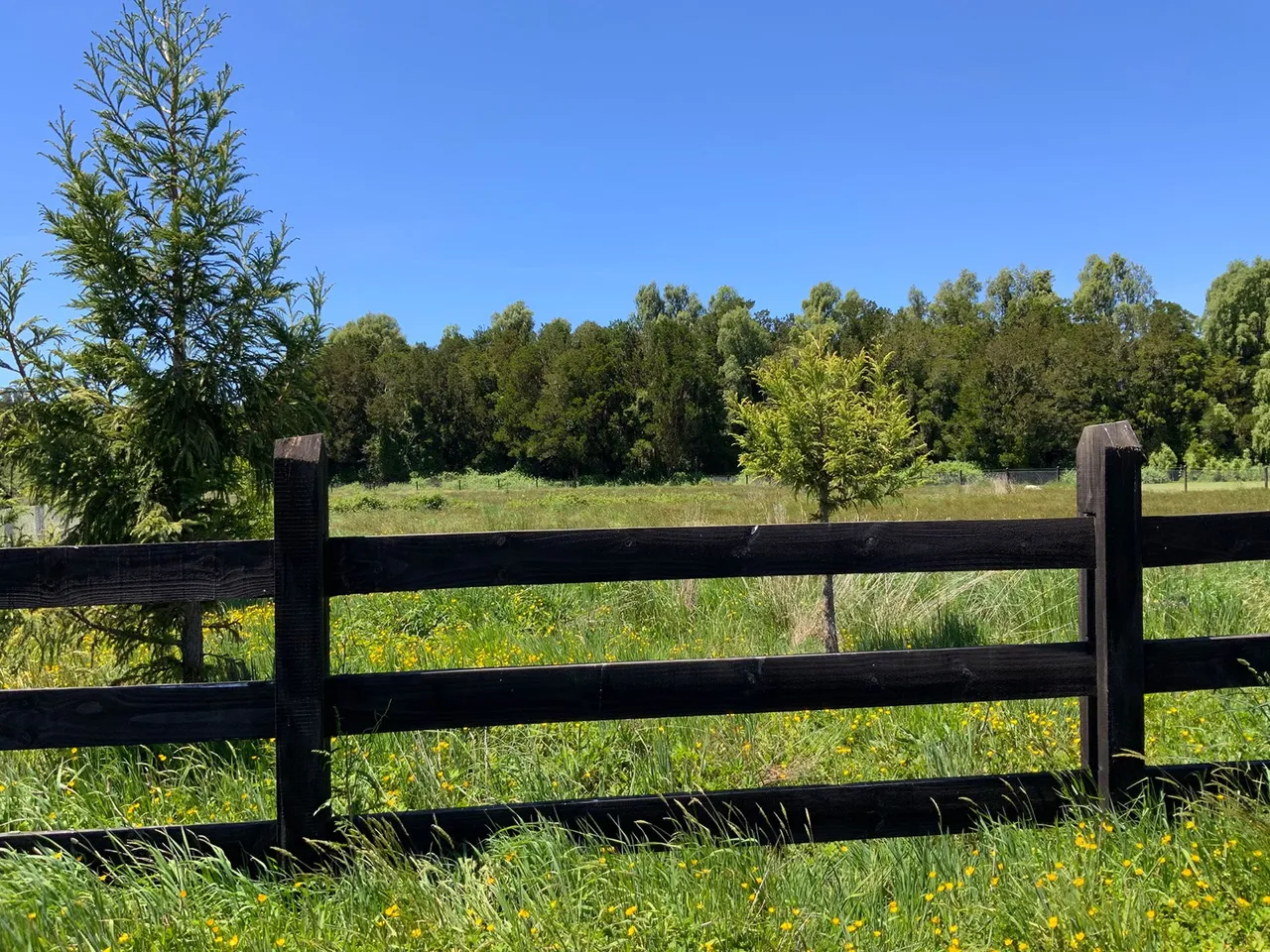 Se Vende Linda Parcela con Vista a Bosque en Frutillar — foto 4