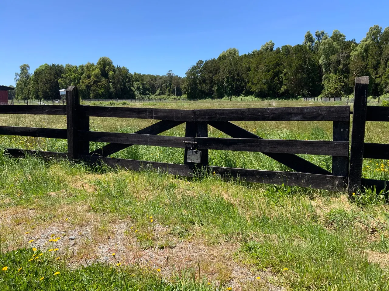 Se Vende Linda Parcela con Vista a Bosque en Frutillar — foto 5