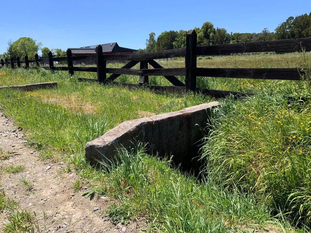 Se Vende Linda Parcela con Vista a Bosque en Frutillar — foto 6