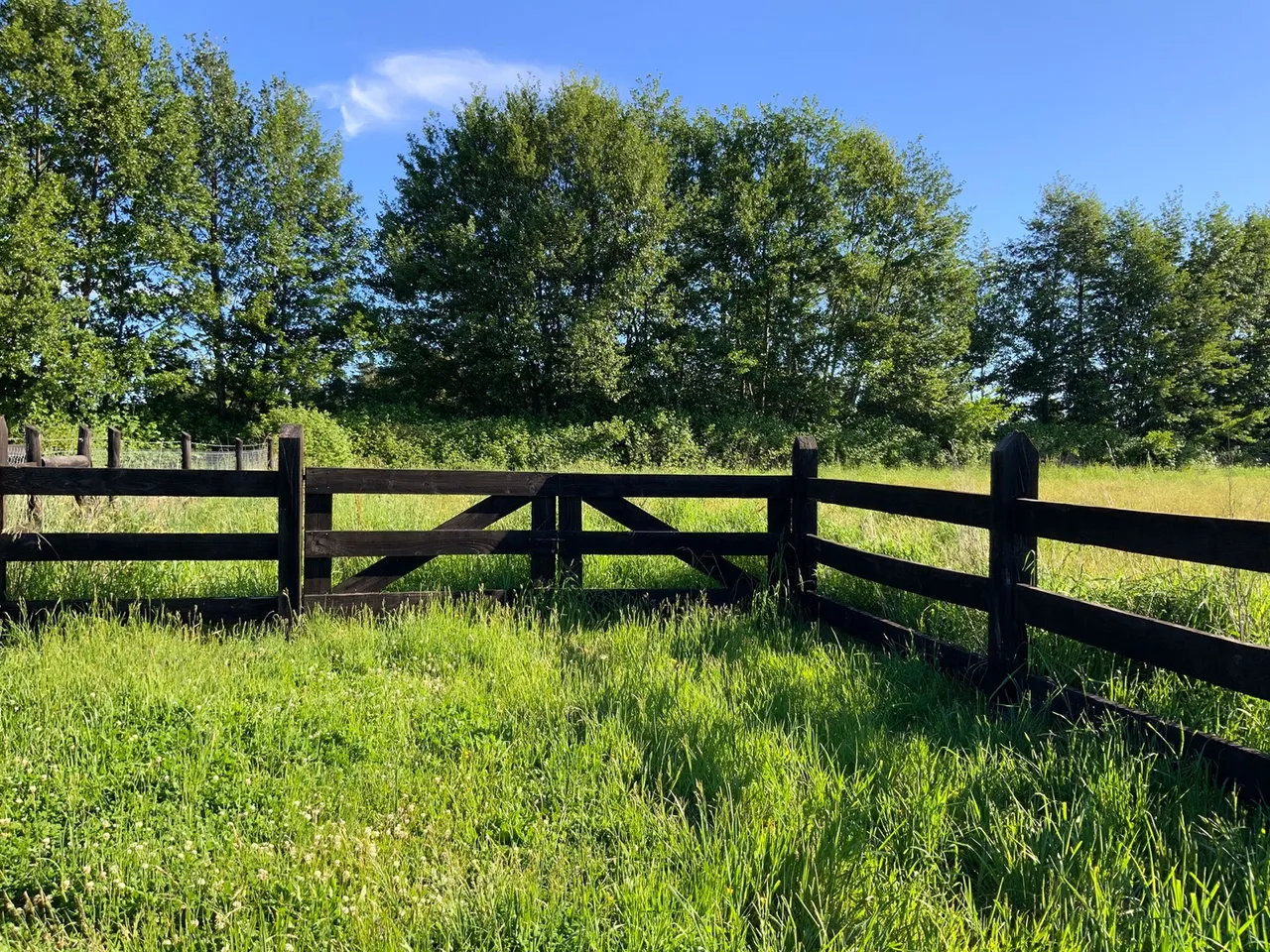 Se vende parcela lista para construir en Frutillar — foto 1