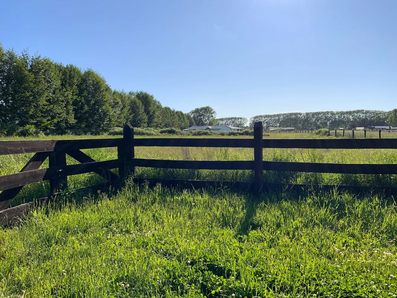Se vende parcela lista para construir en Frutillar — foto 3