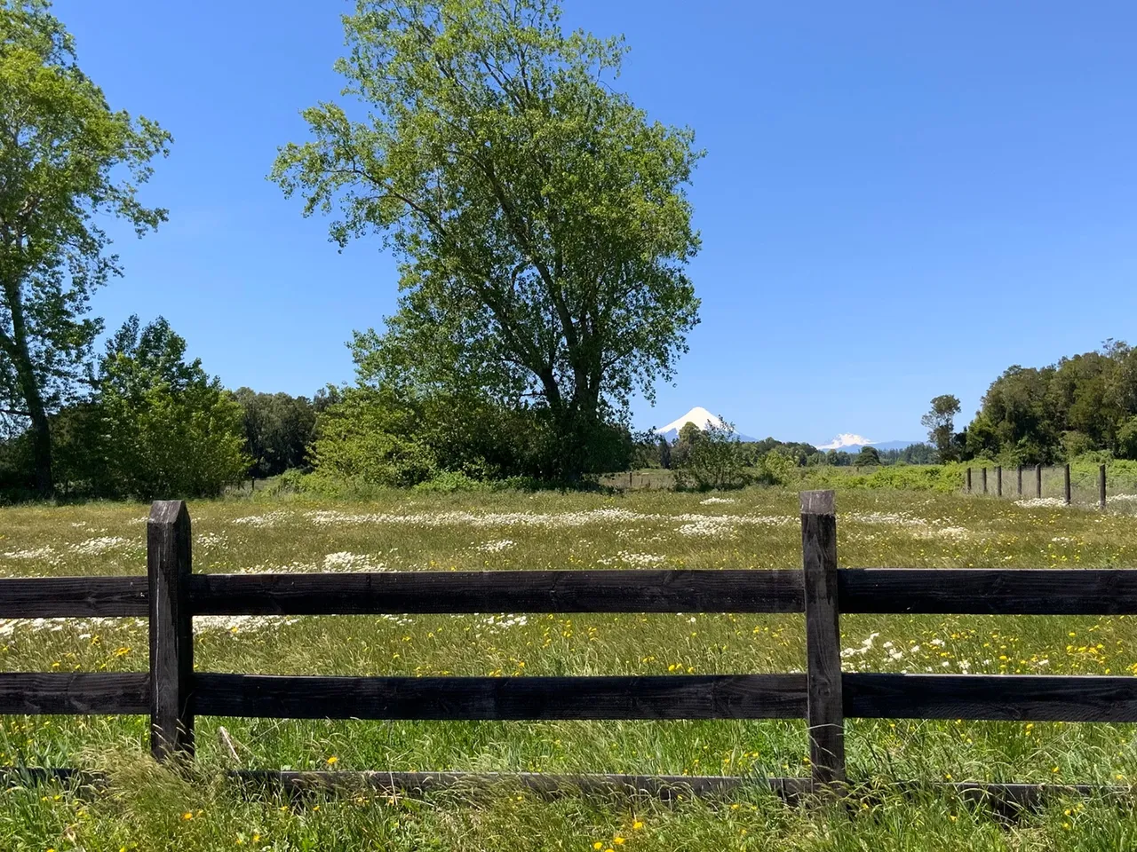 Se Vende Preciosa Parcela con Linda Vista Hacia el Volcán Osorno — foto 3