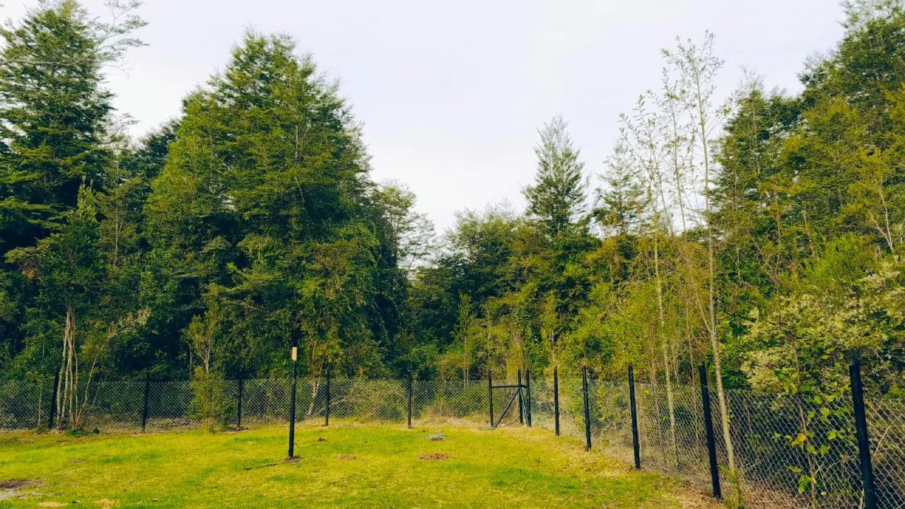 Venta casa en parcela, Frutillar — foto 10