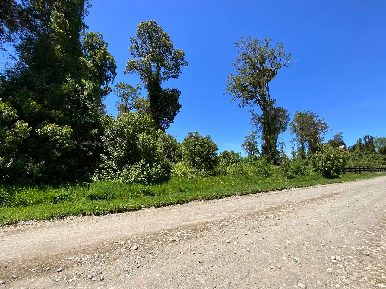 Venta de Hermosa Parcela con Árboles en Frutillar — foto 3